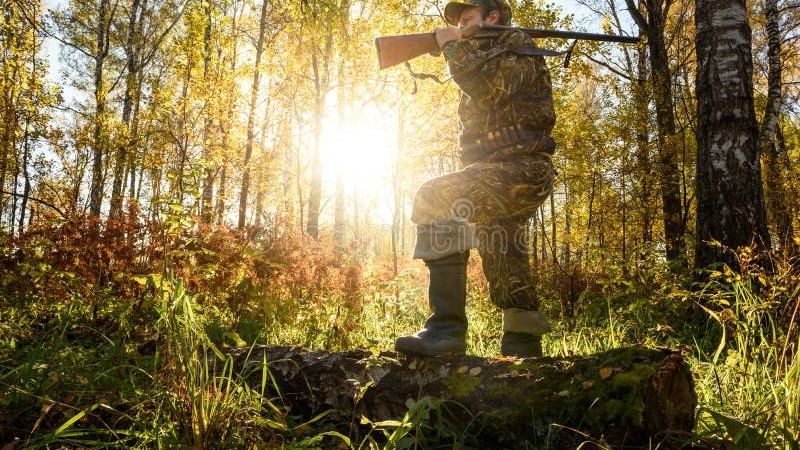 How to Hunt Public Land Deer: Tactics That Actually Work