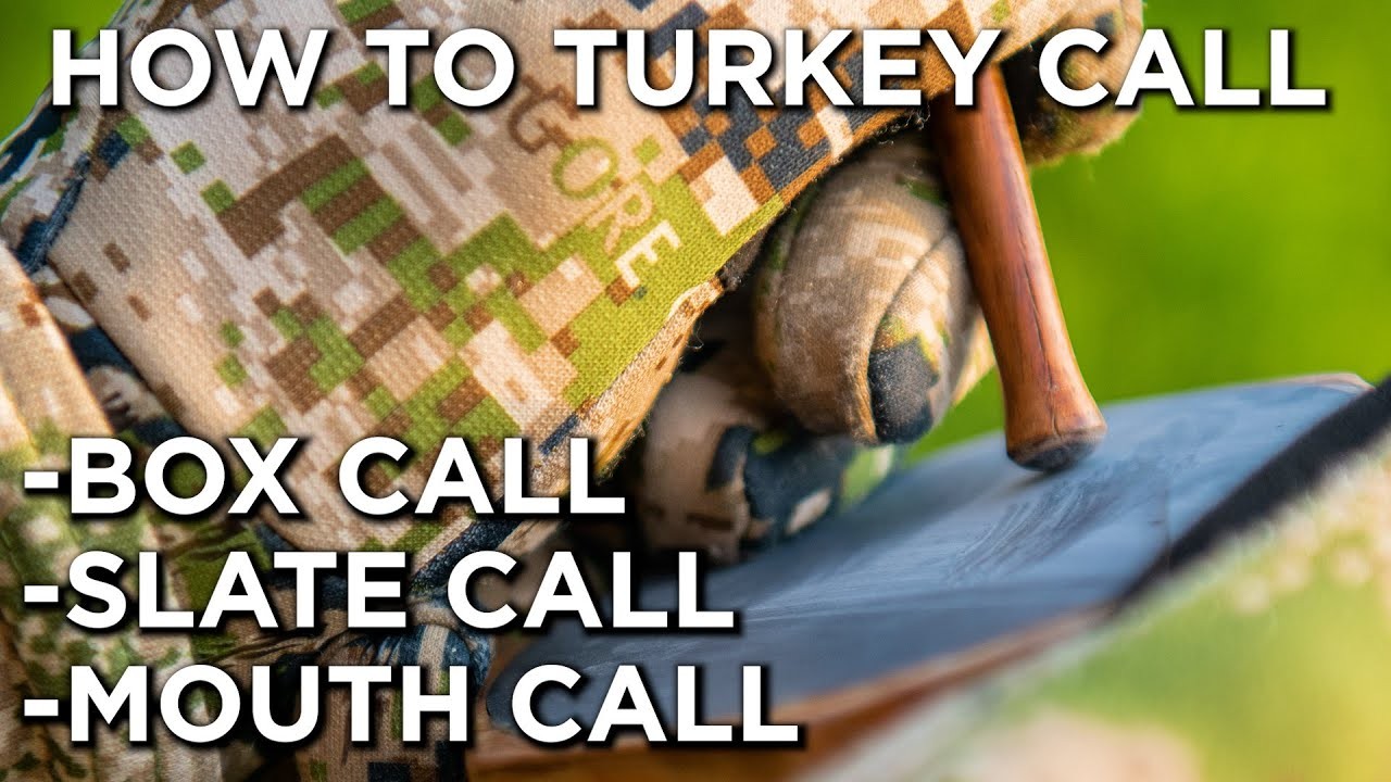 Best Turkey Calls: Box, Slate, and Mouth Calls Compared