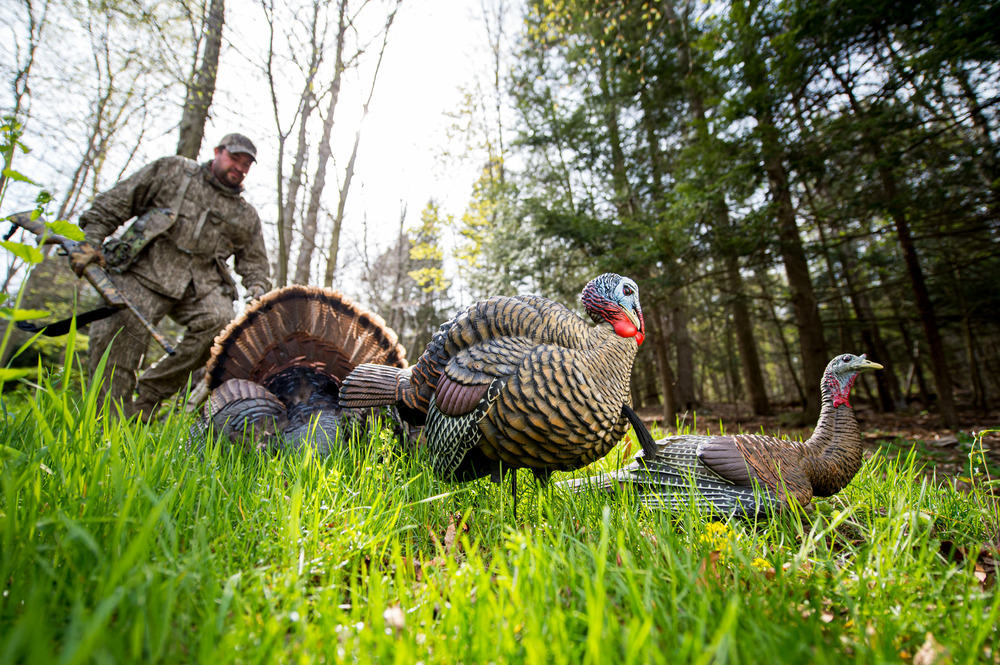 Best Turkey Decoys 2026: Hen, Jake & Full-Strut Tom Decoys Compared